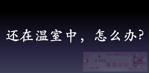 图片1 (5).png